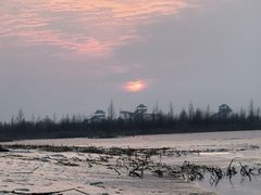 -白渔泡湿地公园