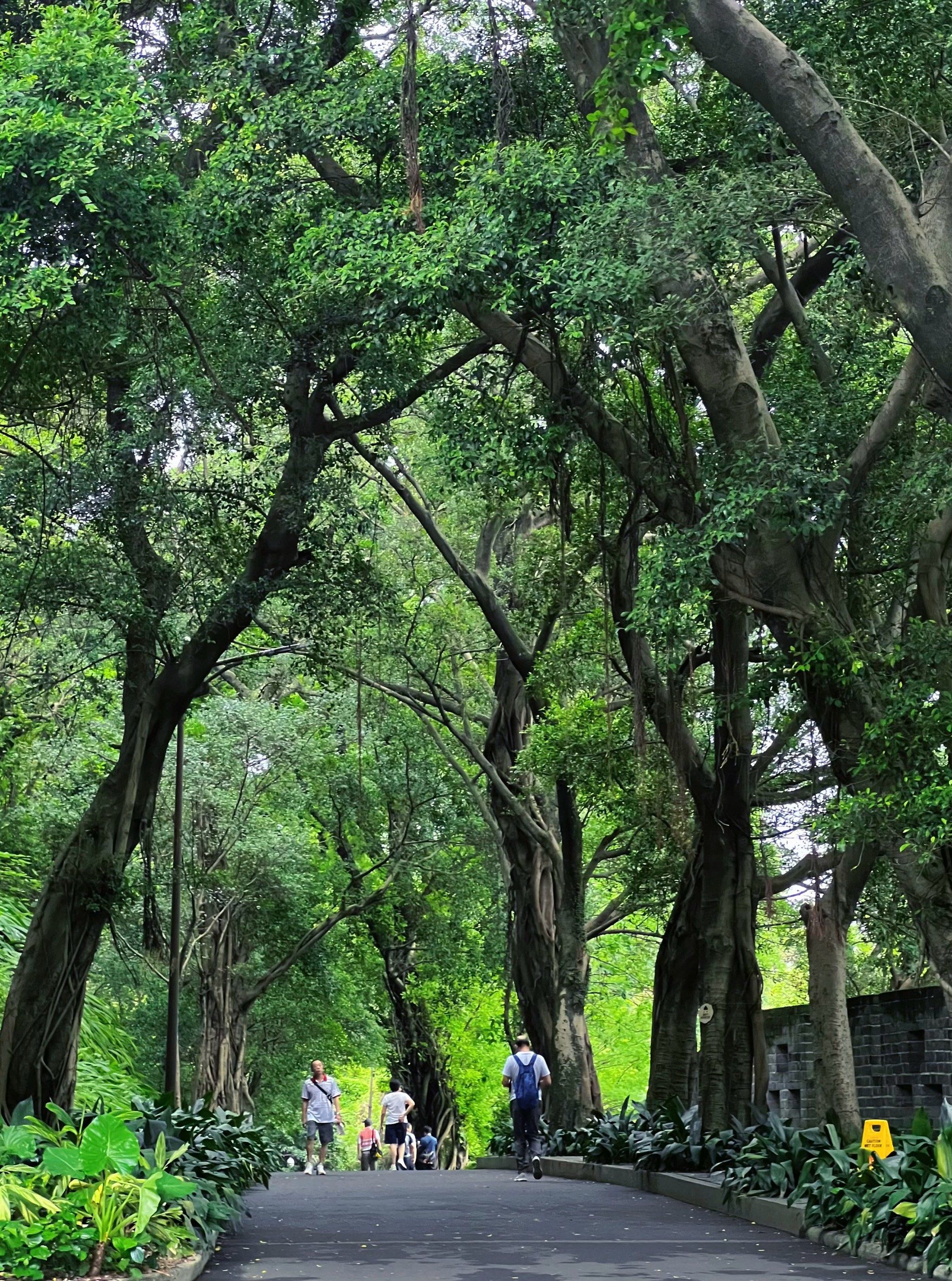 7215景点玩法:越秀公园 越秀山体育场 五羊雕塑 镇海楼 

你