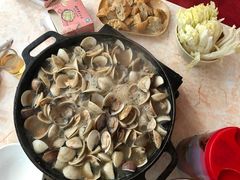 -顺德哥卜卜贝(旗舰店)