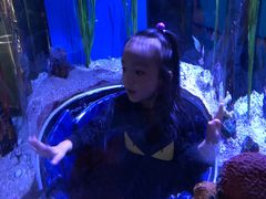-瑞普利水族馆
