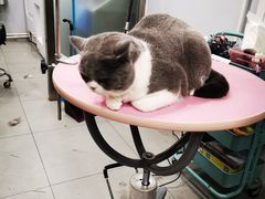 -宠颐生中康贝怡动物医院