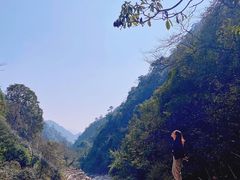 -姑婆山旅游区