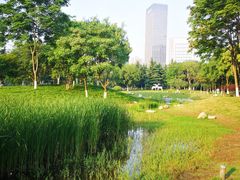 -后襄河公园