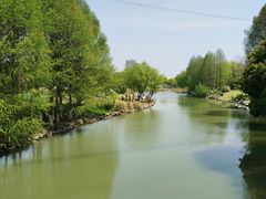 -九里河湿地公园