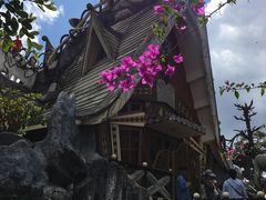 -疯狂屋