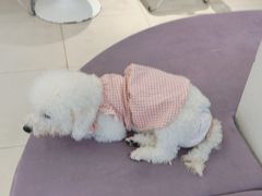 -怪兽屋·羊驼·猫咖·狗咖(俊华广场店)