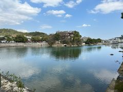 -新建村梅花