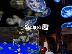 -华夏文旅西安度假区