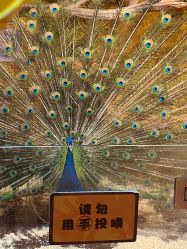 -奇幻萌宠部落(映月湖环宇城店)