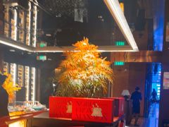 -秀儿四九城·新京菜(亚运村鸟巢店)