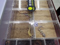 -三旗百汇商品城