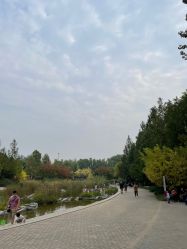 -大望京儿童游乐场