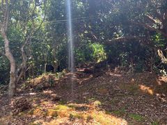 -洞背山庄(洞背院区式管理小区店)