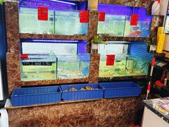 -501號台州海鲜餐厅(海创园店)