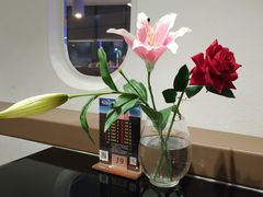 -法兰度航空主题餐厅(台山昌大昌店)