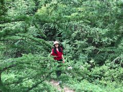 -驼梁风景区