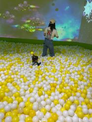 -宝燕乐园(闵行旗舰店)