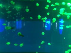 -福州罗源湾海洋世界旅游区