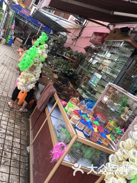岚灵花鸟市场(灵石路店-图片-上海购物-大众点评网