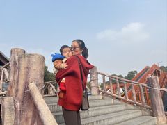 -南湖梦幻岛