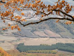 -吉林拉法山