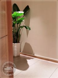 -苑苑vbeauty科技美容SPA