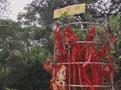 -东莞市大岭山森林公园