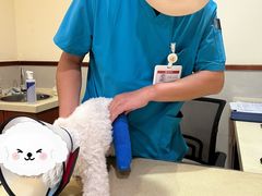 -艾贝尔宠物医院·24H转诊中心·肿瘤猫专科(江宁双龙店)
