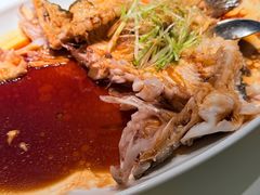 -侨美·唐荔园·40年地道粤菜