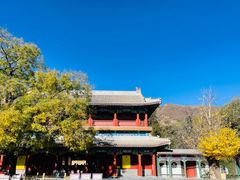-潭柘寺景区