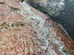 -深圳湾公园(南山区)