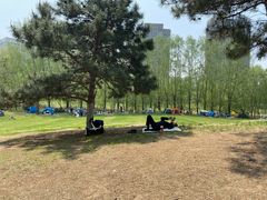 -长白岛森林公园