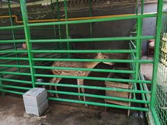 -瑞博尔花园酒店(太周创新产业园店)