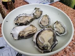 -斯普汇生蚝牛排馆(中骏世界城店)