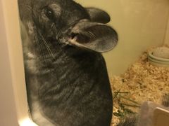 -龙猫仔乐园(惠福东路店)