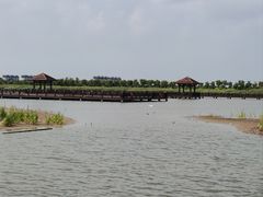 -南大港湿地风景区