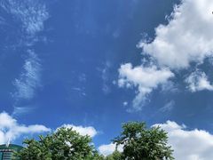 -陆家嘴中心绿地