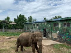 -西安秦岭野生动物园