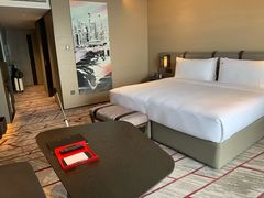 -新加坡瑞士史丹福酒店