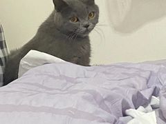 -宠颐生中康贝怡动物医院