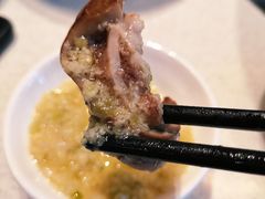 猪肚-木王宴语·野生鲜菌火锅(玉河店)