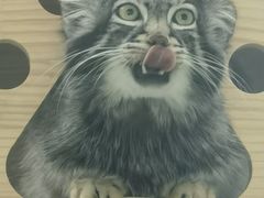-青藏高原野生动物园