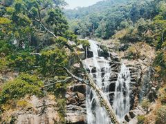 -海南热带雨林国家公园吊罗山景区