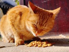 -狼山风景名胜区