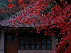 -莫干山风景区