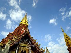 景点-告庄西双景