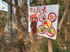 -鸡鸣汤包(红山动物园店)