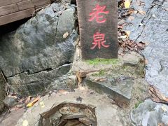 -九龙潭景区