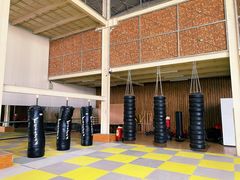 -国际安全防卫学院