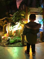 -恐龙探索乐园(磁器口店)